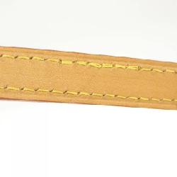 Túi xách Louis Vuitton Monogram Petit Sac Plat M81295 615804