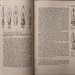 CHINESE BRONZE AGE WEAPONS - Vũ khí Trung Hoa thời đại đồ đồng - Max Loehr - 1956 459642