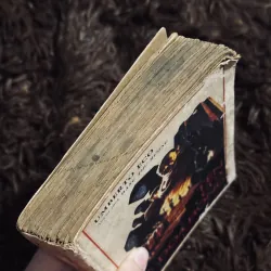 Tên của đoá hồng 998251