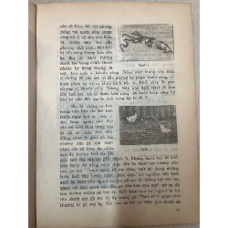 Những điều kỳ diệu của thiên nhiên - Giang Tân