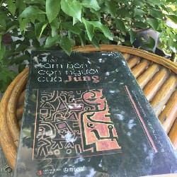 Bản Đồ Tâm Hồn Con Người Của Jung 15727