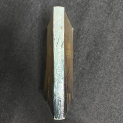 Bên bờ quạnh hiu - Quỳnh Dao 1031717