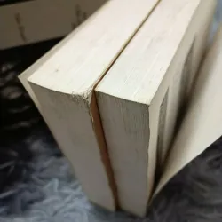 Những kẻ thiện tâm (Jonathan Littell) 311093