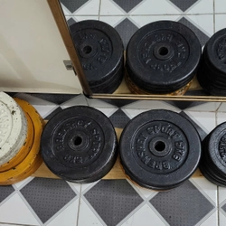 Bánh tạ gang 10kg, 5kg loại đẹp , Tổng khối lượng 80 kg 469992