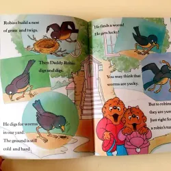 Bộ sách The Berenstain bears (34 books) 563228