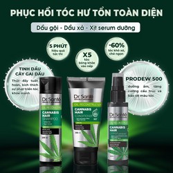 [BỘ CHĂM SÓC TÓC CHUYÊN SÂU – PHỤC HỒI HƯ TỔN] Cannabis Hair [CAM KẾT SẢN PHẨM CHÍNH HÃNG] 77407