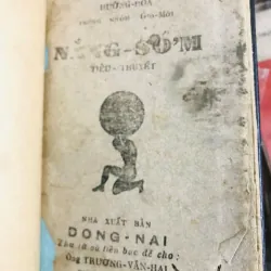 Nắng Sớm (Tiểu Thuyết) - Hường Hoa - Giấy Dó - NXB đồng nai 1944 928159