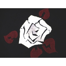 Áo khoác / Áo choàng đường đi 2 món - Hàng hiệu Authentic 875840