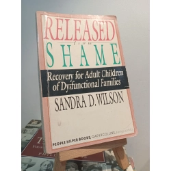 Released from Shame - Sandra D. Wilson