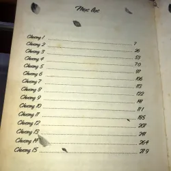 Giá lại có một người như em - Lâm Phỉ Nhiên 995394