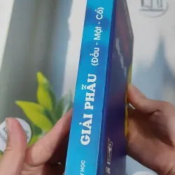 [MIỄN PHÍ BỌC SÁCH] Giải Phẫu (Đầu - Mặt - Cổ) - TS. Phạm Đăng Diệu 990450