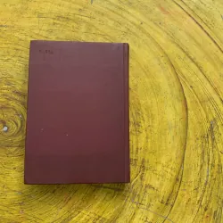 TỪ ĐIỂN HÁN TỰ NHẬT NGA SƠ CẤP BÌA CỨNG BỎ TÚI 779034