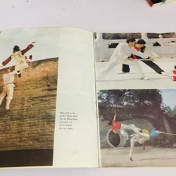WUSHU VÕ THUẬT TRUNG HOA CỔ ĐIỂN VÀ HIỆN ĐẠI  531159