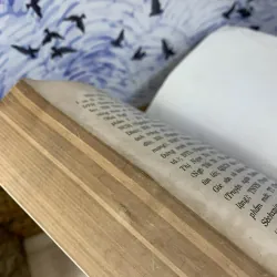 Logic và Tiếng Việt - Nguyễn Đức Dân 760490