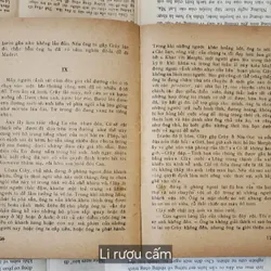 [Văn học Mỹ] - LI RƯỢU CẤM, tác giả: Irwin Shaw 716965