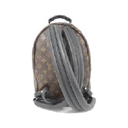 Ba lô Louis Vuitton Monogram Palm Springs PM M44871 608257