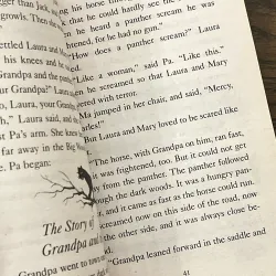 Little House in the Big Woods 972828