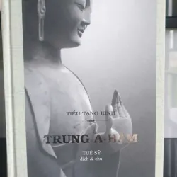 Trọn Bộ Tiểu Tạng Kinh Trung A- Hàm - Tuệ Sỹ 704363