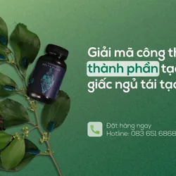 Delta Sleep - Hỗ trợ ngủ ngon 602525