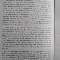 GIA ĐÌNH NIRE - MORIO KITA 512587