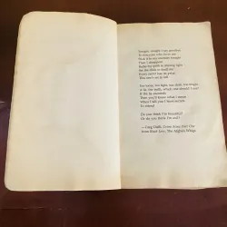 A big boy did it and ran away - Christopher Brookmyre 990096