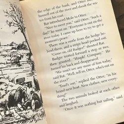 The Wind in the Willows (Scholastic Junior Classics) 972838