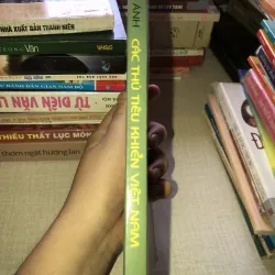 Các Thú Tiêu Khiển Việt Nam - Nhà Xuất Bản Thanh Niên 935246