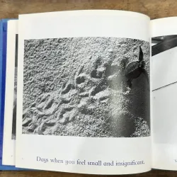 The Blue Day Book - Bradley Trevor Greive 728434