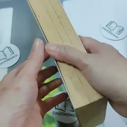 Tam Sinh Tam Thế Thập Lý Đào Hoa - Đường Thất Công Tử 744729