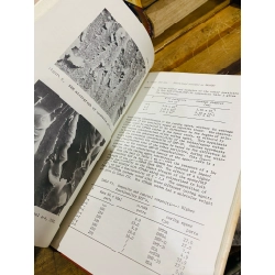 EPOXY RESIN CHEMISTRY II - RONALD S. BAUER edited 319113