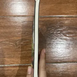 Nghệ thuật là gì ? - Làm thế nào để hiểu tranh và ảnh ? (7) 1004693