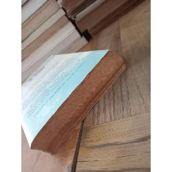 Prodigal Son - Danielle Steel