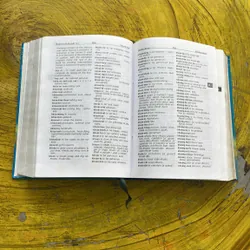 TỪ ĐIỂN VIỆT- ANH MODERN DICTIONARY- QUANG HÙNG 689626