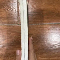 Tông Phả kỷ yếu Tân biên (8) 577552