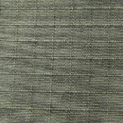 C.P COMPANY Quần short - Hàng hiệu Authentic 893005