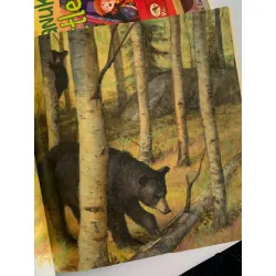 Shh! Bears Sleeping – David Martin 561133