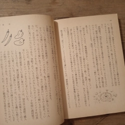 [Sách tiếng Nhật] 時にはうどんのように (Toki ni wa Udon no You ni) - tác giả 椎名 誠 (Shiina Makoto) 446473