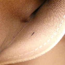 Túi Louis Vuitton Monogram Totally PM M56688 617481