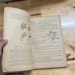 II Sách Y: Bệnh Học Ngoại _ Tuỵ Lách - GS. Nguyễn Đức Ninh - 1991 682294