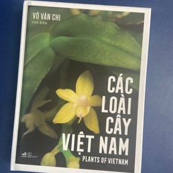 CÁC LOÀI CÂY VIỆT NAM - VÕ VĂN CHI 159184