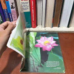 II Tạp Chí Phật Giáo: Giác Ngộ _ Kính Mừng Phật Đản - Số Đặc Biệt 727055