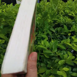 Âm thanh và cuồng nộ của William Faulkner 975211