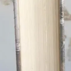 Bí Mật Xứ Tạng 697385