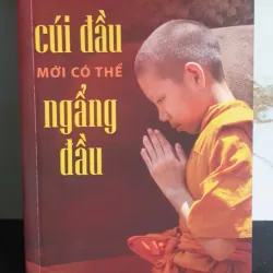 Sách Cúi Đầu Mới Có Thể Ngẩng Đầu