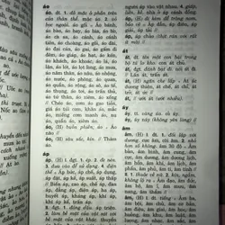Từ điển đồng âm tiếng Việt  731490