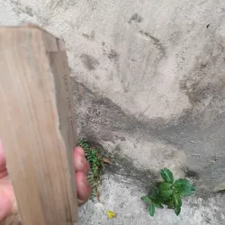 Về vấn đề xác định thành phần các dân tộc thiểu số ở miền Bắc Việt Nam  1019173