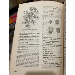 Danh từ Dược học Đông y - Lê Quý Ngưu, Trần Thị Như Đức 718384