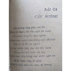 Con suối chiến khu - Liên Nam