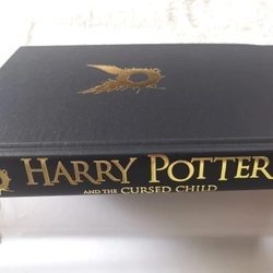 HARRY POTTER AND THE CURSED CHILD  383802