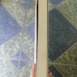 Thanh - Việt nghị hòa tiến trình công nhận triều đại Quang Trung - Nguyễn Duy Chính 740680